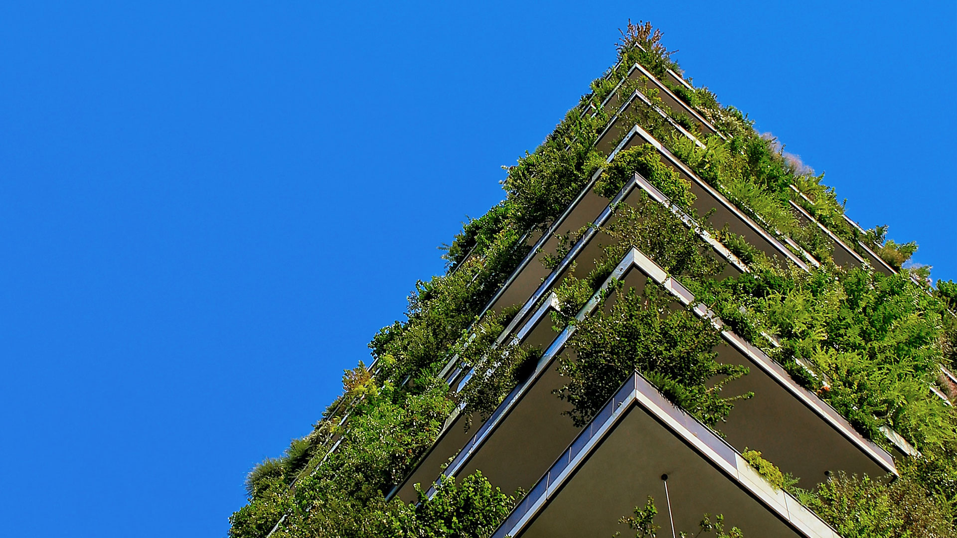 Sovereign Strategy 52