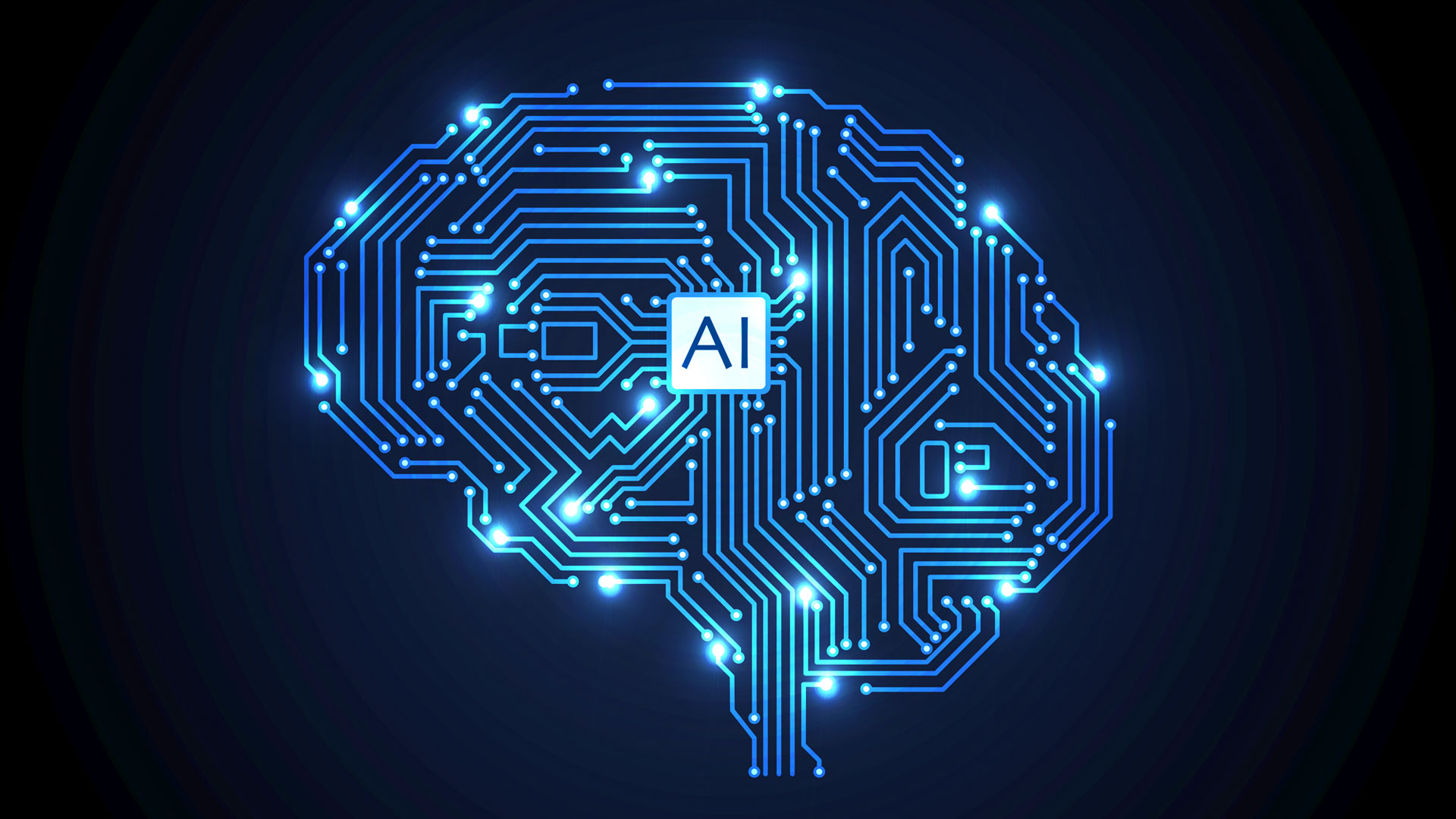 Sovereign Strategy slider 63