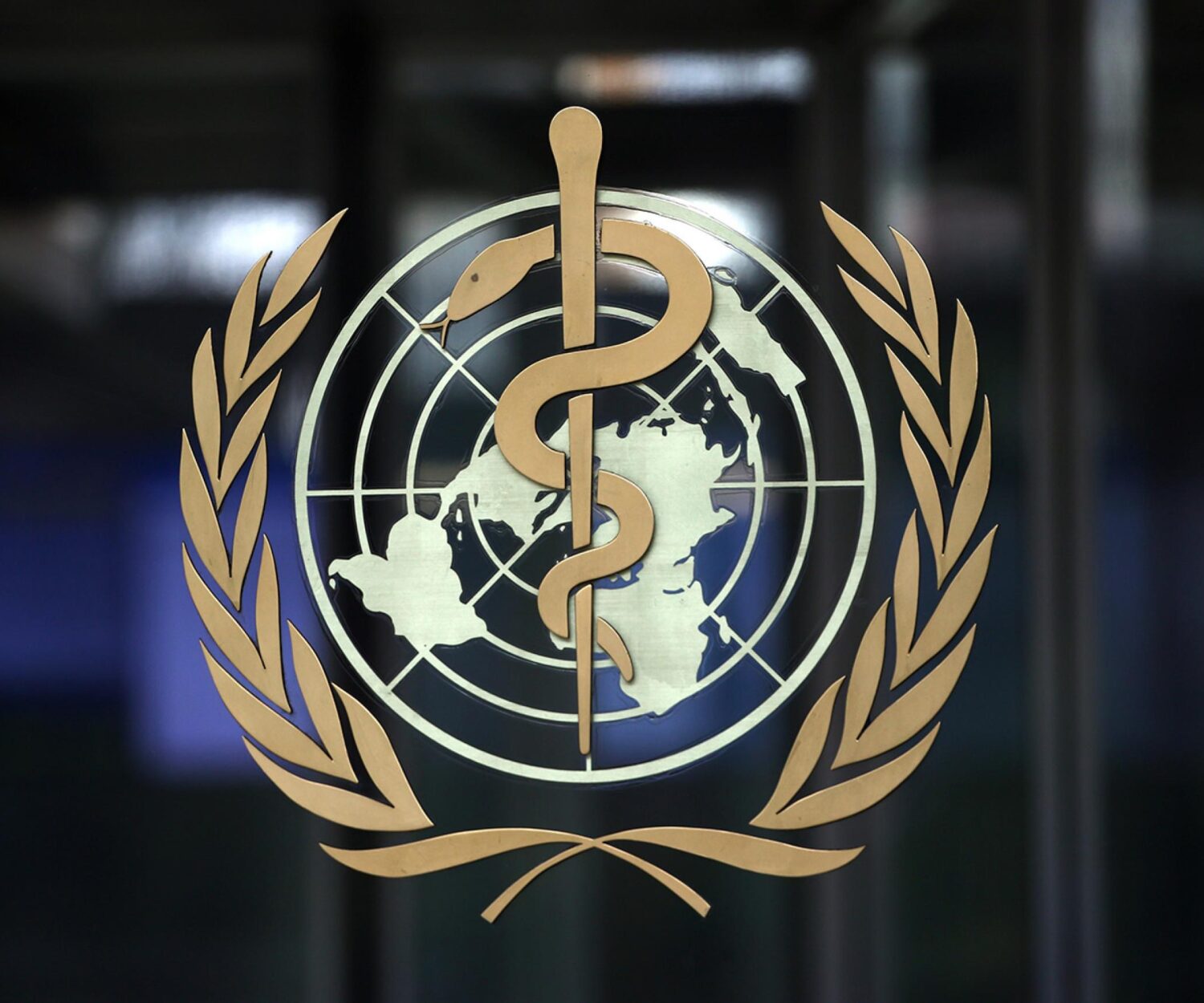 World Health Organization